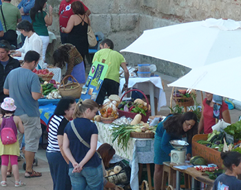 Los municipios ante los retos del cambio climático y los sistemas alimentarios locales