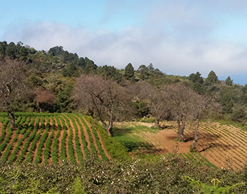 Recuperar el patrimonio y la memoria agriculta como argumentos para un turismo agroecológico