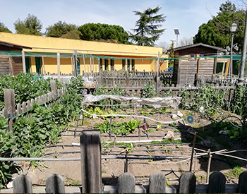 Móstoles, una gran ciudad, comprometida con la agroecología municipal