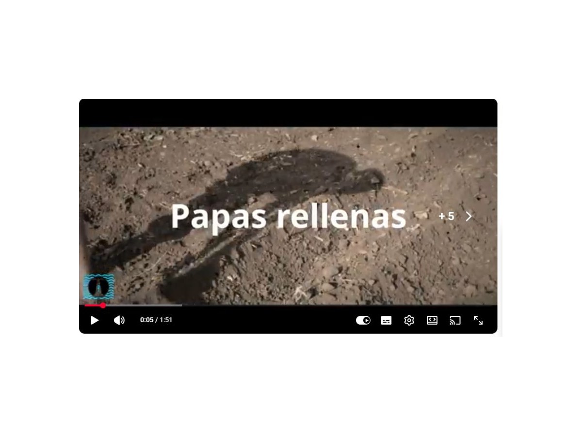 Pantalla inicial de Papas rellenas. Ecochef Terrae 2021