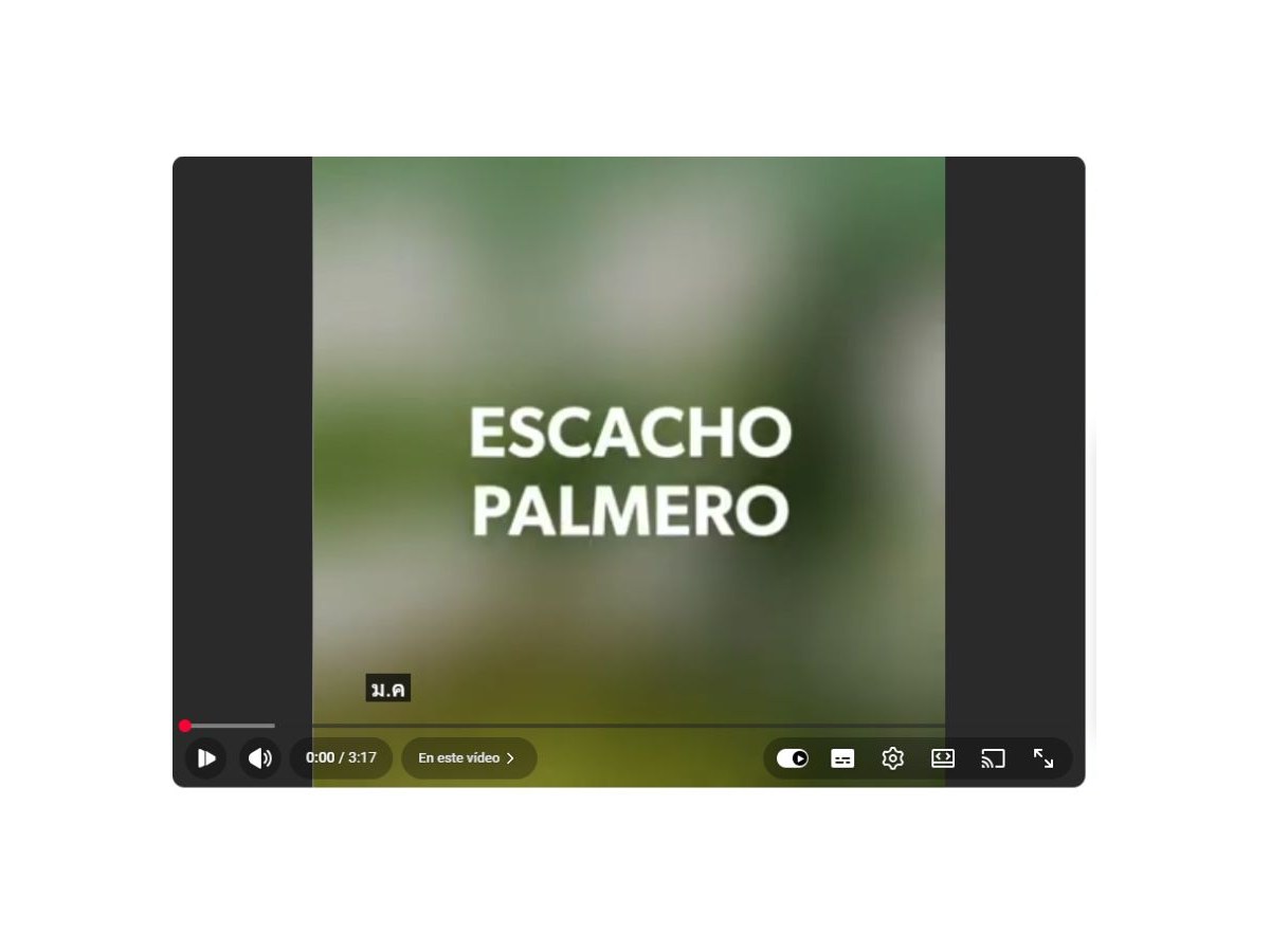Pantalla inicial de Escacho Palmero. Ecochef Terrae 2021