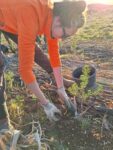 Taller agricultura sintropica valdepielagos (2)