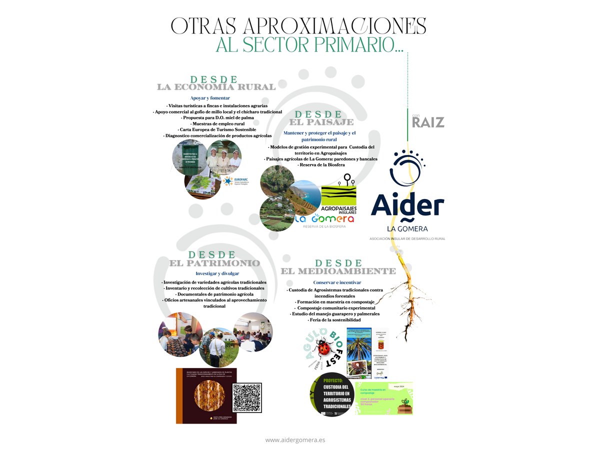 Primera página de AIDER: Otras aproximaciones al sector primario