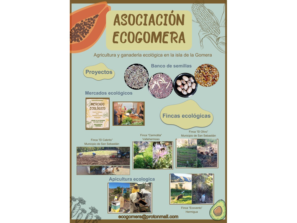 Primera página de Agricultura y ganadería ecológica en la isla de la Gomera