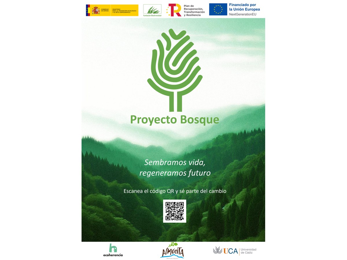 Primera página de Póster Proyecto Bosque